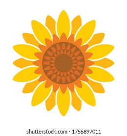 Sunflower vector icon.Cartoon vector icon isolated on white background sunflower.