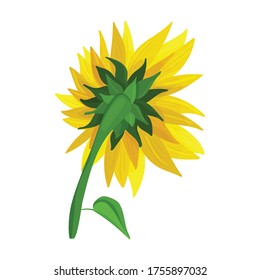 Icono del vector girasol.Icono del vector de dibujos animados aislado en girasol de fondo blanco.
