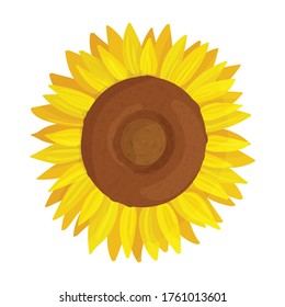 Sunflower vector icon.Cartoon vector icon isolated on white background sunflower.