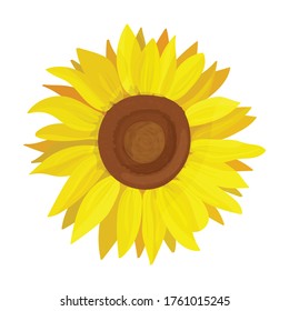 Sunflower vector icon.Cartoon vector icon isolated on white background sunflower.