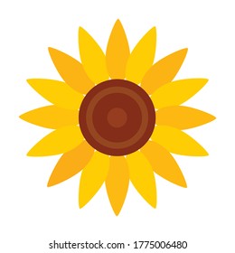 Sunflower vector icon.Cartoon vector icon isolated on white background sunflower.