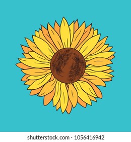Sunflower. Vector illustration