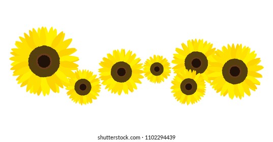 sunflower vector illustration