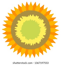 Sunflower vector illustration
