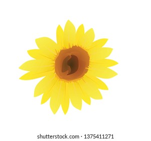 Sunflower. vector illustration