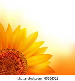 Sunflower, Vector Illustration