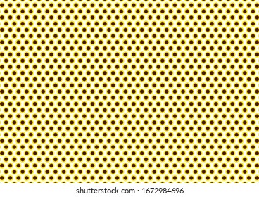 Sunflower vector illustration background material