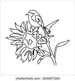 
Sunflower vector illustration. Bird on a flower. A sparrow sits on a sunflower. Children's coloring book with nature. Botanical print.