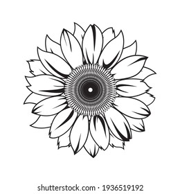 Sunflower vector illustration in black color