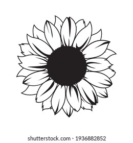 Sunflower vector illustration in black color