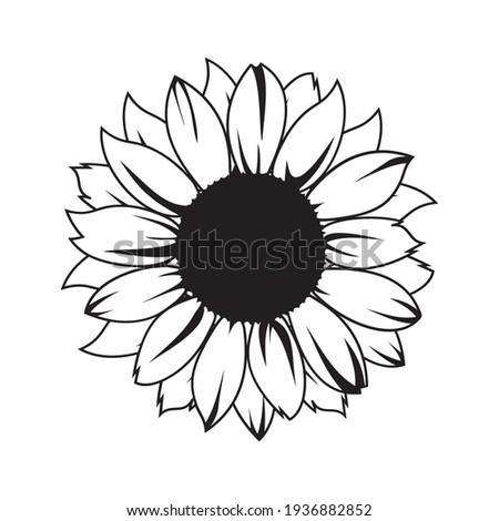 Sunflower vector illustration in black color