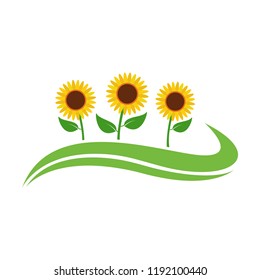 sunflower vector illustration concept design vector