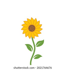 sunflower vector illustration concept design web
