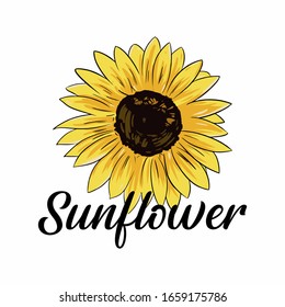 Vector Hand Drawn Yellow Sunflower On Stock Vector (Royalty Free) 367264472