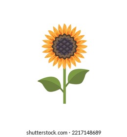 Sunflower vector illustration, Sunflower flat icon, orange flower