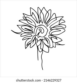Sunflower vector illustration. Flower in one line. Flower coloring book. Outline drawing of a sunflower flower.