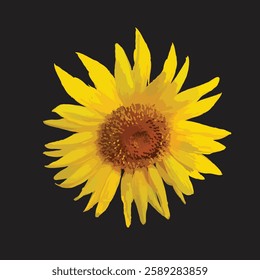 sunflower vector illustration graphic arts