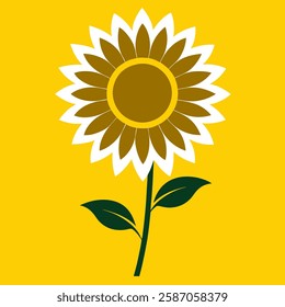 Sunflower vector illustration graphic icon