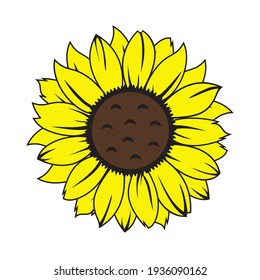 Ilustración vectorial de girasol. Ilustración dibujada por mano