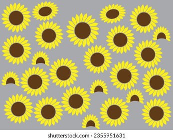Sunflower vector illustration. Sunflower isolated. Botanical floral illustration. Yellow summer flower. illustration about sunflower for banner , background and greeting card