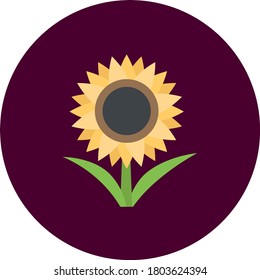 Ilustración vectorial de girasol. Aislado sobre fondo rojo.