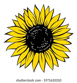 Sunflower, vector illustration isolated on white background