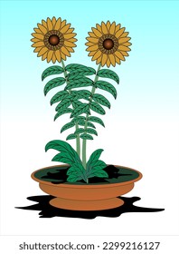 Sunflower Vector, Vector Illustration of an isolated sunflower in a pot against a sky blue background. For flower shop banners, posters. Element for interior design of home, room or office. Sunflower 