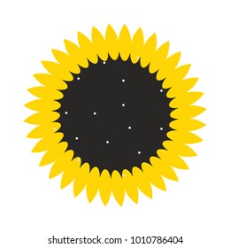 Sunflower. Vector illustration on a white background. 10 eps