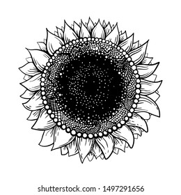 Sunflower. Vector illustration of the plant. Design for tattoo. Image for packing sunflower seeds or sunflower oil. Poster. Black and white graphics.
