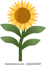 sunflower vector illustration suitable for any design