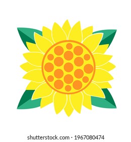 Sunflower vector illustration. Summer flower yellow color