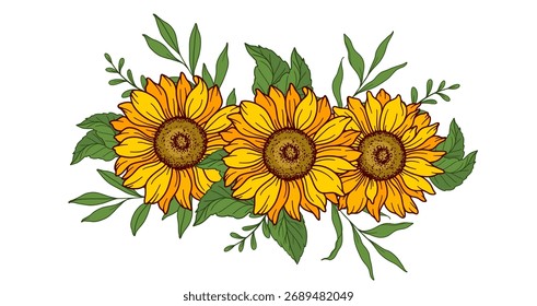Ilustración vectorial de girasol. Girasoles aislados. Ilustración floral botánica. Flor amarilla del verano

