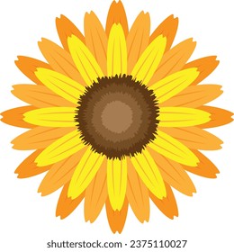 Sunflower vector image or clip art