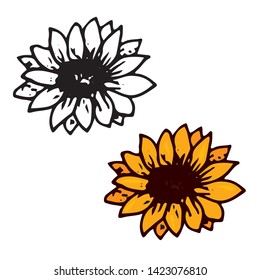 sunflower vector image isolated on white background