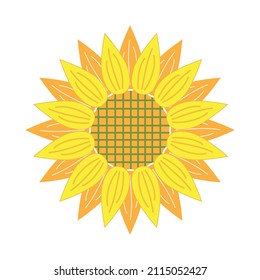 sunflower vector isolated, natural food ingredient