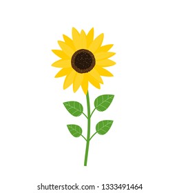 7,568 Baby sunflower plants Images, Stock Photos & Vectors | Shutterstock