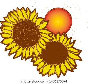 Sunflower vector isolated on white background. Yellow sun flower. Sunflower with orange petal illustration
