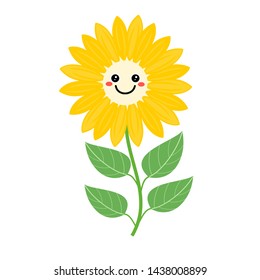Sunflower vector isolated on white background. Beautiful flower with cartoon face.