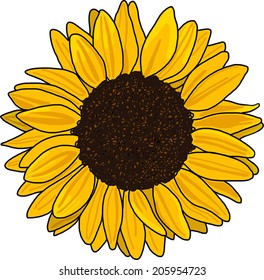 Sunflower vector isolated on a white background