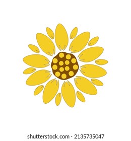 Sunflower vector isolated on white background. Hand drawn flat sunflower illustration. Summer floral design.