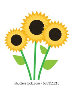 Sunflower vector isolated on white background.