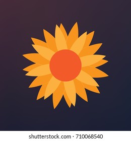 Sunflower vector isolated on white background. 