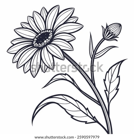 Sunflower vector line art on white bacground