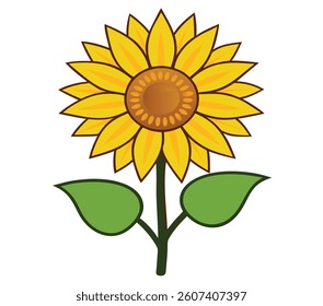 Sunflower Vector on White Backgroud