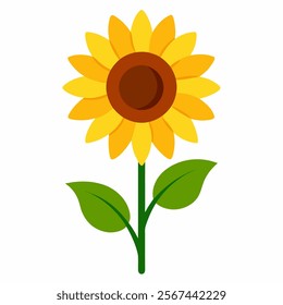 Sunflower vector on white background