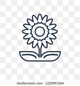 Sunflower vector outline icon isolated on transparent background, high quality linear Sunflower transparency concept can be used web and mobile