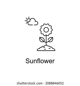SUNFLOWER vector outline icon for web design isolated on white background