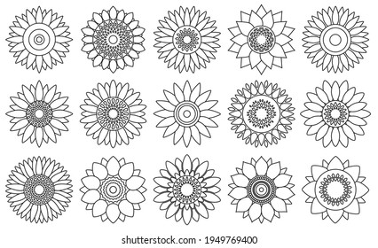 Sunflower vector outline set icon. Vector illustration flower on white background. Isolated outline set icon sunflower .