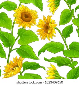 sunflower vector pattern on white background