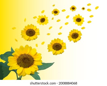 Sonnenblume, Vektorgrafik, gelber Hintergrund
